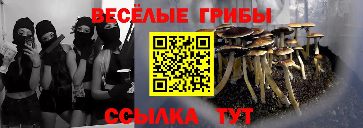 Псилоцибиновые грибы ЛСД Узловая
